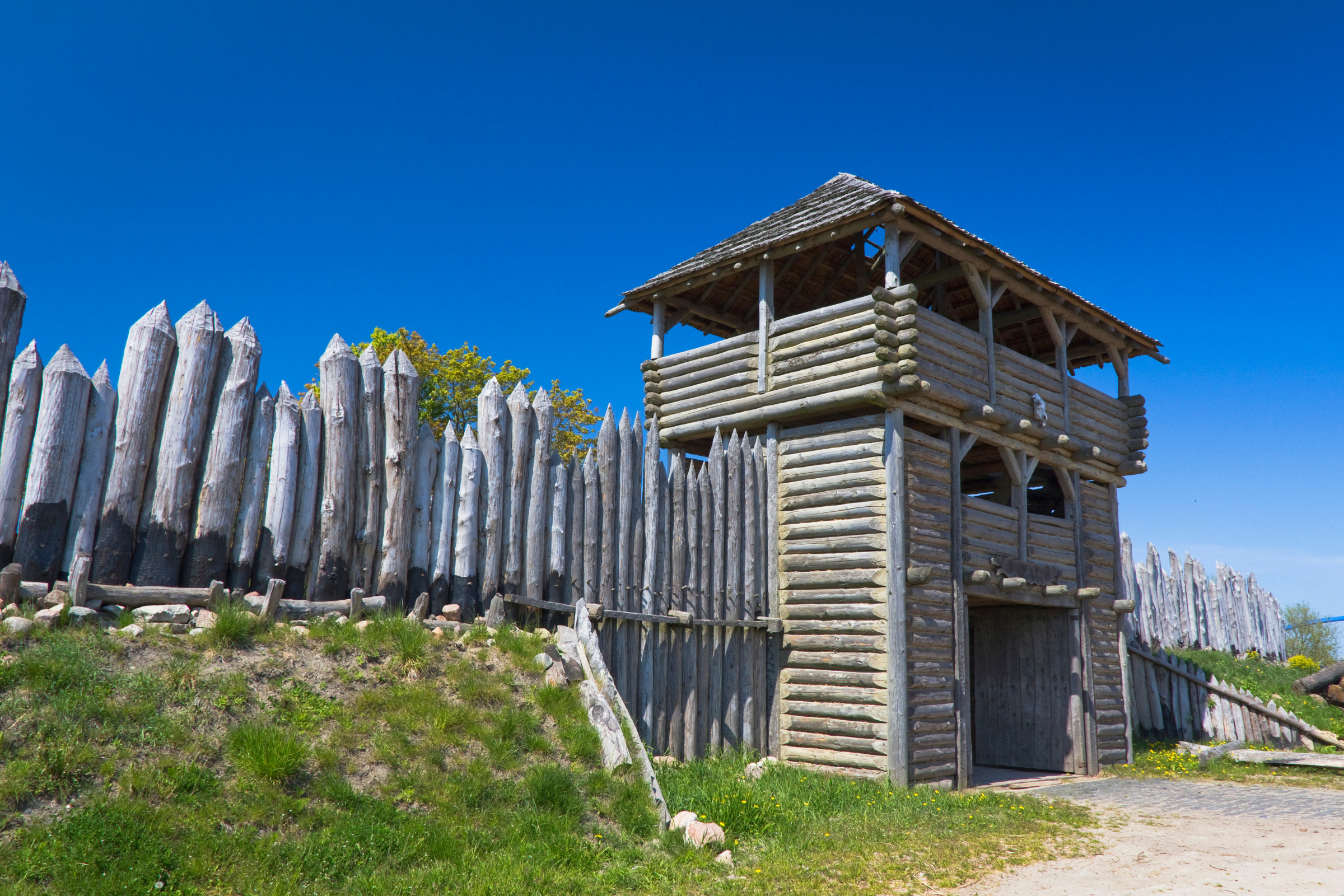 wolin 02.webp